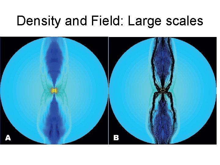 Density and Field: Large scales 