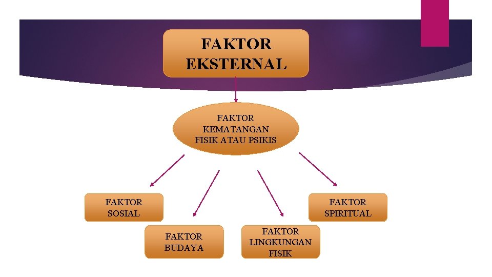 FAKTOR EKSTERNAL FAKTOR KEMATANGAN FISIK ATAU PSIKIS FAKTOR SOSIAL FAKTOR SPIRITUAL FAKTOR BUDAYA FAKTOR