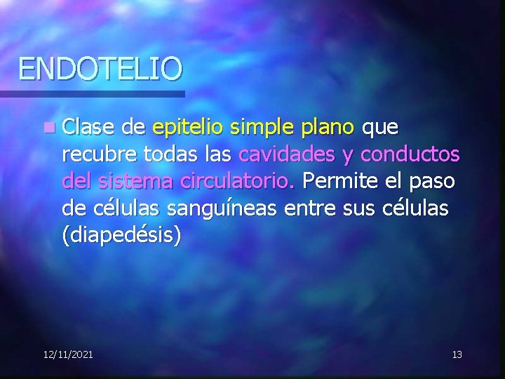 ENDOTELIO n Clase de epitelio simple plano que recubre todas las cavidades y conductos