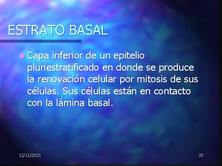 ESTRATO BASAL n Capa inferior de un epitelio pluriestratificado en donde se produce la