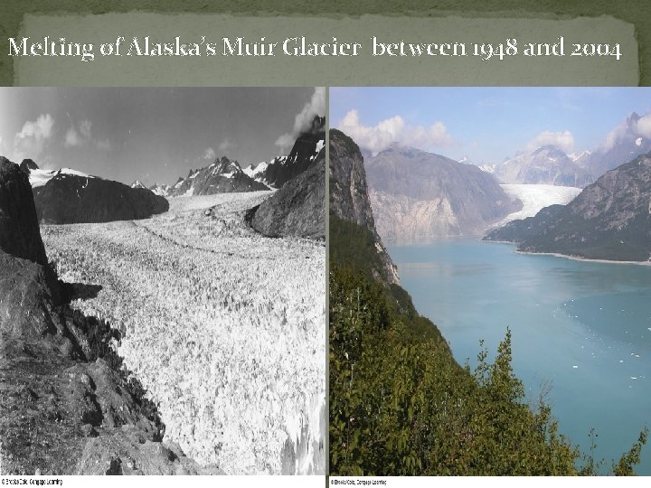 Melting of Alaska’s Muir Glacier between 1948 and 2004 