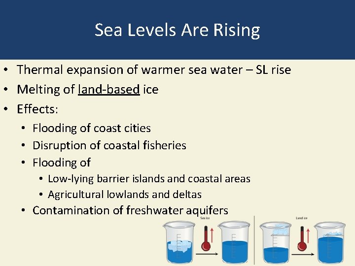 Sea Levels Are Rising • Thermal expansion of warmer sea water – SL rise