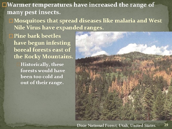 �Warmer temperatures have increased the range of many pest insects. � Mosquitoes that spread