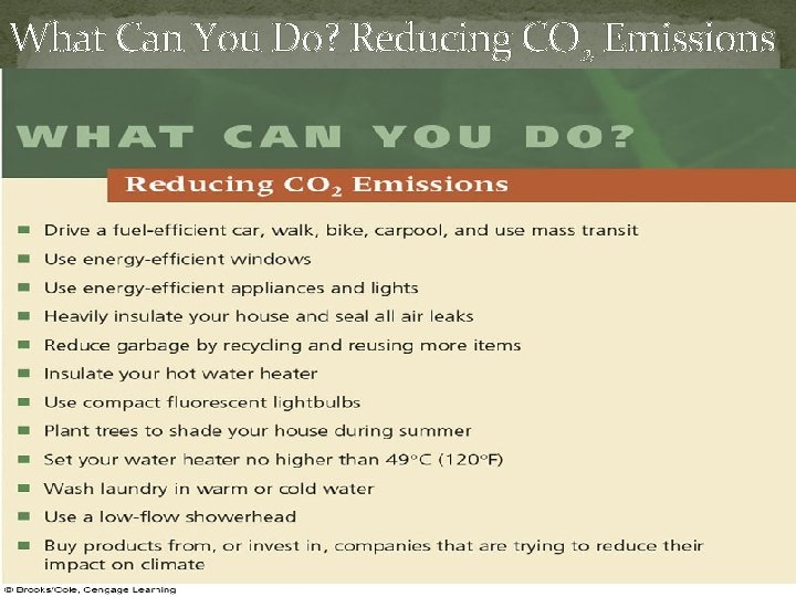 What Can You Do? Reducing CO 2 Emissions 