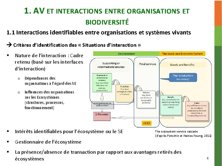 1. AV ET INTERACTIONS ENTRE ORGANISATIONS ET BIODIVERSITÉ 1. 1 Interactions identifiables entre organisations