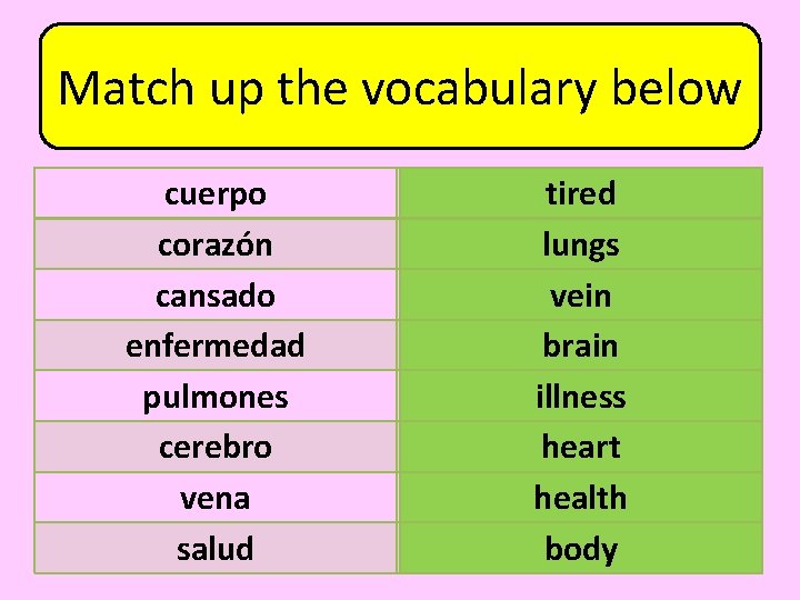 Match up the vocabulary below cuerpo corazón cansado enfermedad pulmones cerebro vena salud heart