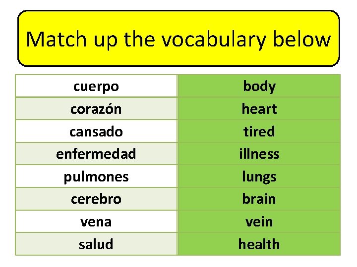 Match up the vocabulary below cuerpo corazón cansado enfermedad pulmones cerebro vena salud heart