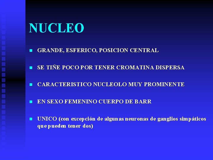 NUCLEO n GRANDE, ESFERICO, POSICION CENTRAL n SE TIÑE POCO POR TENER CROMATINA DISPERSA