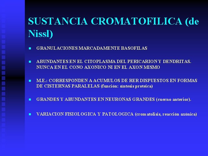 SUSTANCIA CROMATOFILICA (de Nissl) n GRANULACIONES MARCADAMENTE BASOFILAS n ABUNDANTES EN EL CITOPLASMA DEL