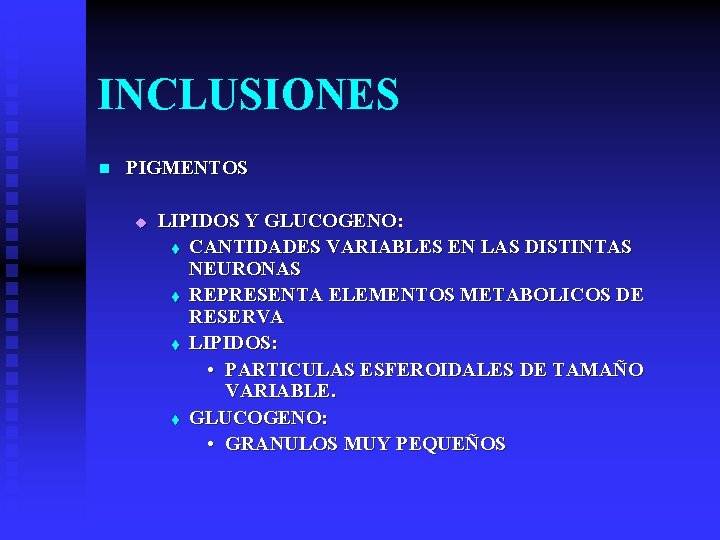 INCLUSIONES n PIGMENTOS u LIPIDOS Y GLUCOGENO: t CANTIDADES VARIABLES EN LAS DISTINTAS NEURONAS