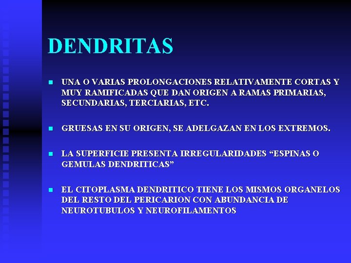 DENDRITAS n UNA O VARIAS PROLONGACIONES RELATIVAMENTE CORTAS Y MUY RAMIFICADAS QUE DAN ORIGEN