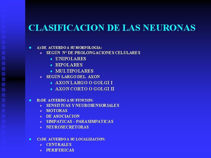 CLASIFICACION DE LAS NEURONAS n A) DE ACUERDO A SU MORFOLOGIA: u SEGÚN N°