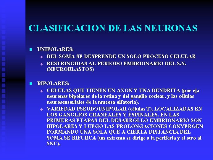 CLASIFICACION DE LAS NEURONAS n UNIPOLARES: u DEL SOMA SE DESPRENDE UN SOLO PROCESO