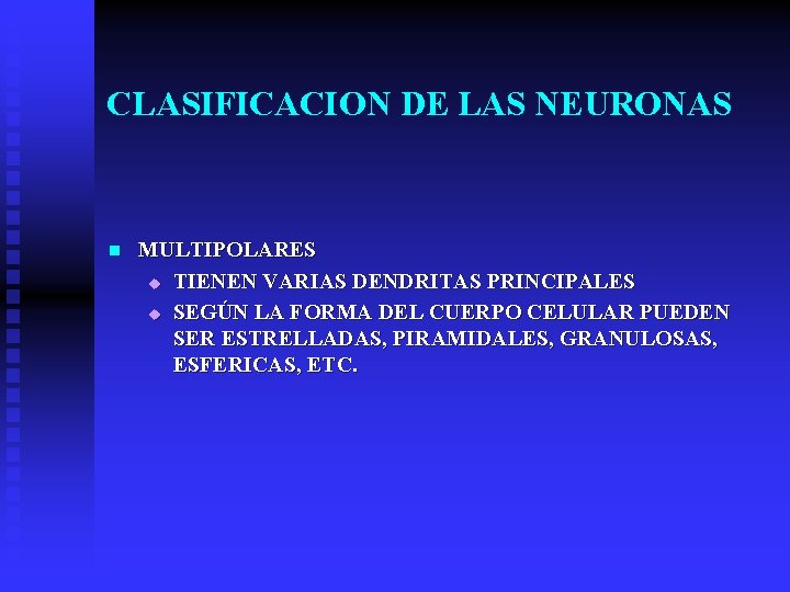 CLASIFICACION DE LAS NEURONAS n MULTIPOLARES u TIENEN VARIAS DENDRITAS PRINCIPALES u SEGÚN LA