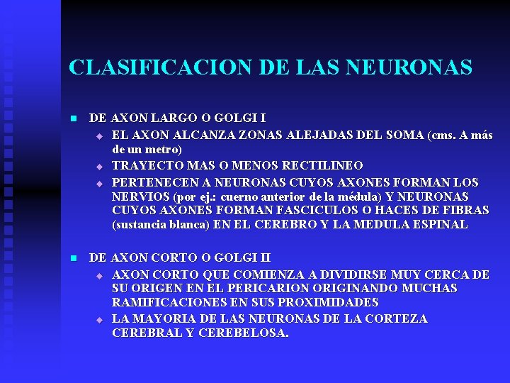 CLASIFICACION DE LAS NEURONAS n DE AXON LARGO O GOLGI I u EL AXON