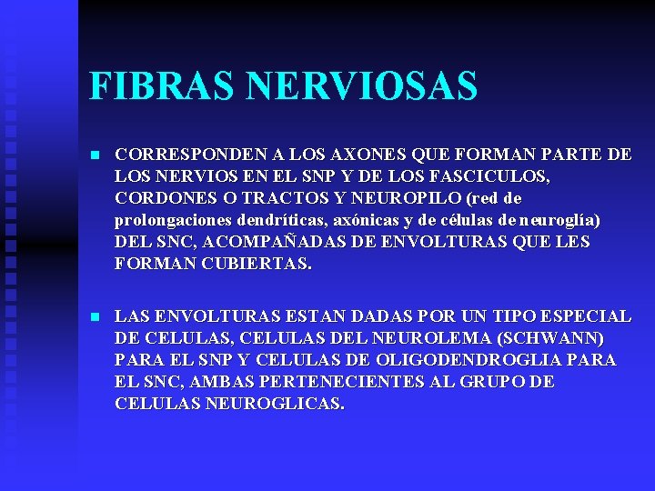 FIBRAS NERVIOSAS n CORRESPONDEN A LOS AXONES QUE FORMAN PARTE DE LOS NERVIOS EN