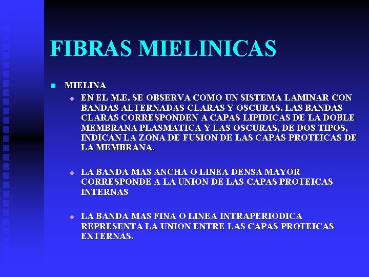 FIBRAS MIELINICAS n MIELINA u EN EL M. E. SE OBSERVA COMO UN SISTEMA