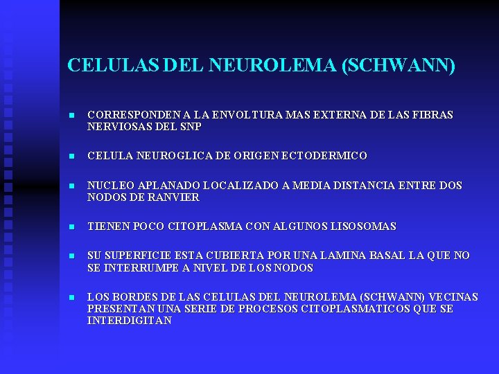 CELULAS DEL NEUROLEMA (SCHWANN) n CORRESPONDEN A LA ENVOLTURA MAS EXTERNA DE LAS FIBRAS