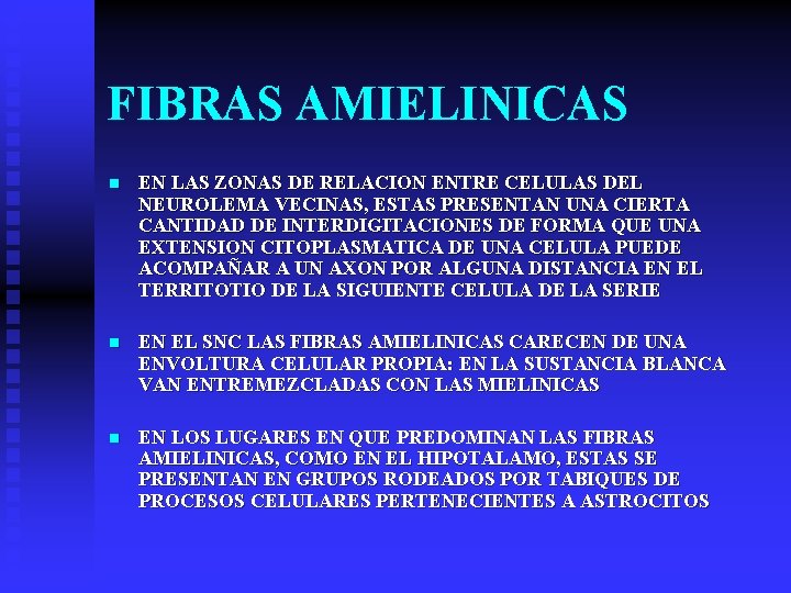 FIBRAS AMIELINICAS n EN LAS ZONAS DE RELACION ENTRE CELULAS DEL NEUROLEMA VECINAS, ESTAS