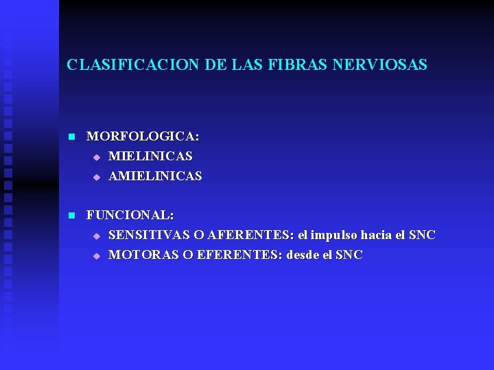 CLASIFICACION DE LAS FIBRAS NERVIOSAS n MORFOLOGICA: u MIELINICAS u AMIELINICAS n FUNCIONAL: u