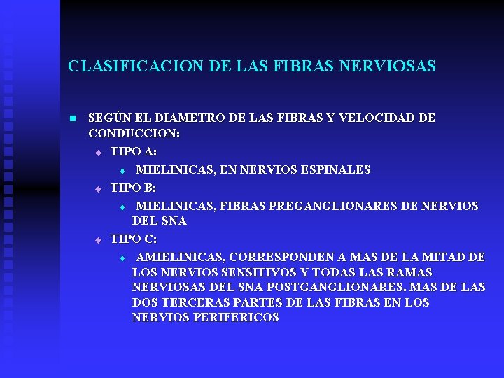 CLASIFICACION DE LAS FIBRAS NERVIOSAS n SEGÚN EL DIAMETRO DE LAS FIBRAS Y VELOCIDAD