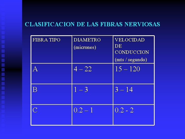 CLASIFICACION DE LAS FIBRAS NERVIOSAS FIBRA TIPO DIAMETRO (micrones) VELOCIDAD DE CONDUCCION (mts /