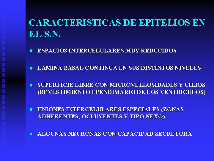 CARACTERISTICAS DE EPITELIOS EN EL S. N. n ESPACIOS INTERCELULARES MUY REDUCIDOS n LAMINA