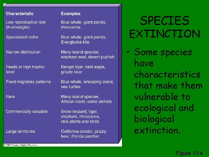 SPECIES EXTINCTION • Some species have characteristics that make them vulnerable to ecological and