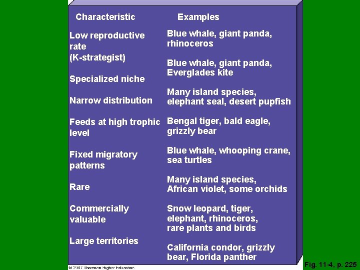 Characteristic Low reproductive rate (K-strategist) Specialized niche Narrow distribution Examples Blue whale, giant panda,