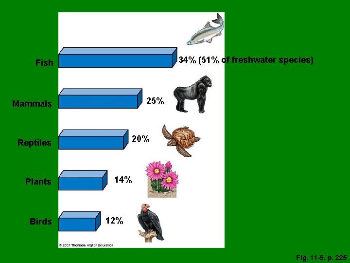 34% (51% of freshwater species) Fish 25% Mammals 20% Reptiles Plants Birds 14% 12%