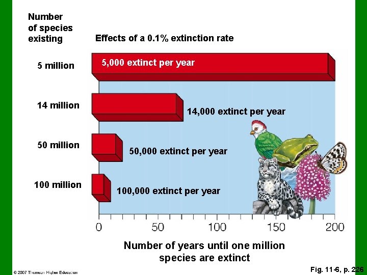 Number of species existing 5 million 14 million 50 million 100 million Effects of