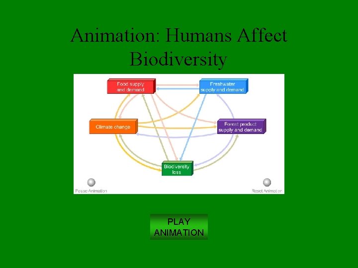 Animation: Humans Affect Biodiversity PLAY ANIMATION 
