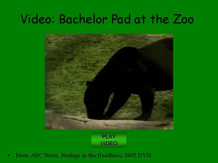 Video: Bachelor Pad at the Zoo PLAY VIDEO • From ABC News, Biology in