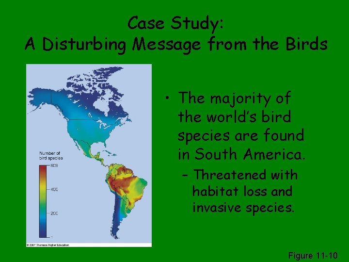 Case Study: A Disturbing Message from the Birds • The majority of the world’s