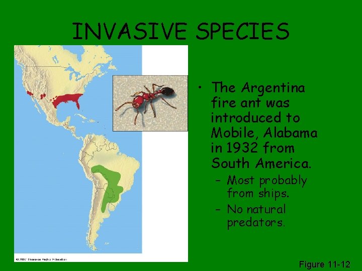 INVASIVE SPECIES • The Argentina fire ant was introduced to Mobile, Alabama in 1932