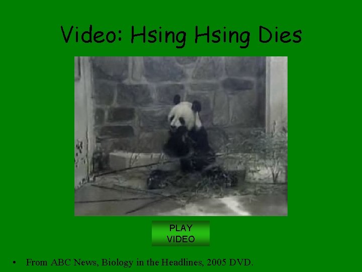 Video: Hsing Dies PLAY VIDEO • From ABC News, Biology in the Headlines, 2005