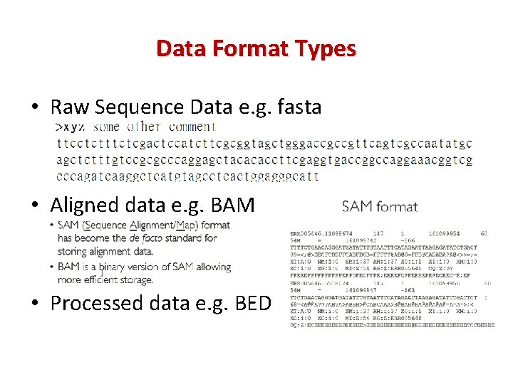 Data Format Types • Raw Sequence Data e. g. fasta • Aligned data e.