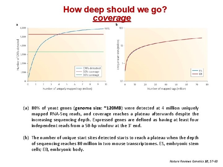 How deep should we go? coverage (a) 80% of yeast genes (genome size: ~120