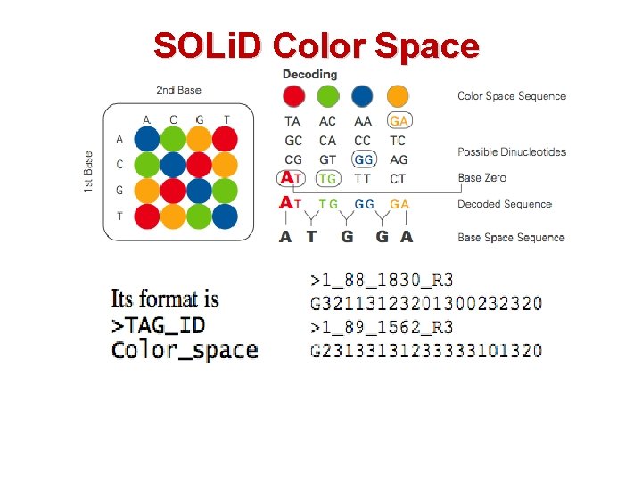 SOLi. D Color Space 