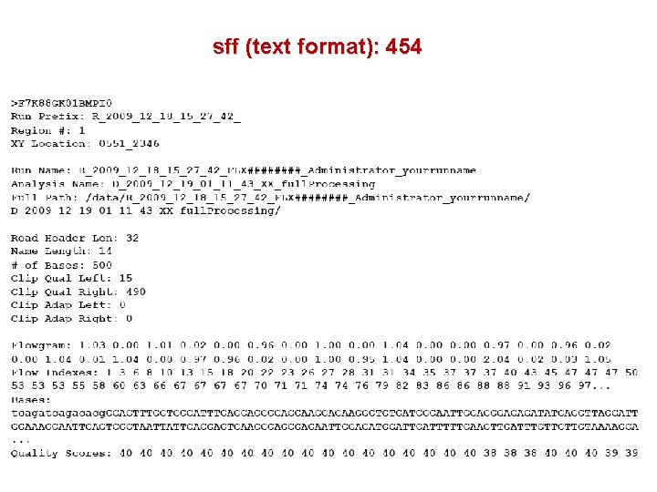 sff (text format): 454 