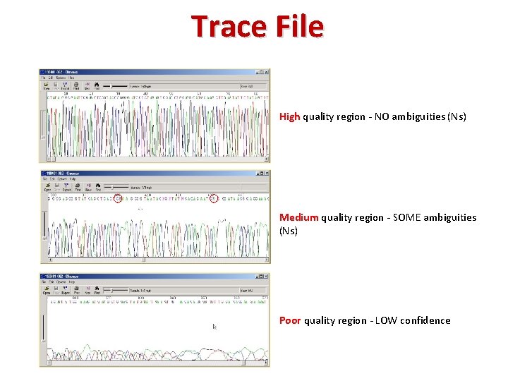 Trace File High quality region ‐ NO ambiguities (Ns) Medium quality region ‐ SOME