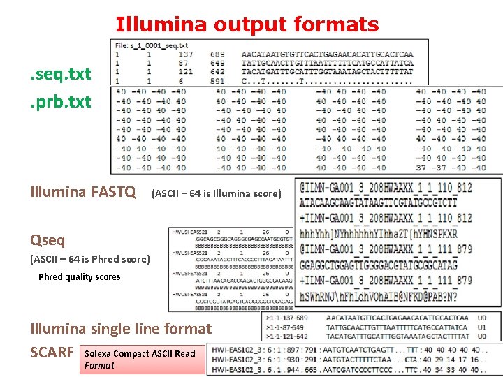 Illumina output formats. seq. txt. prb. txt Illumina FASTQ (ASCII – 64 is Illumina