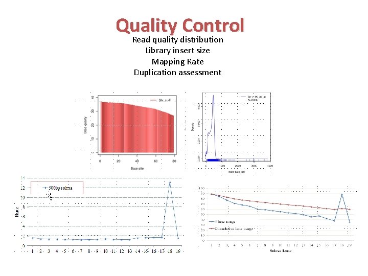 Quality Control Read quality distribution Library insert size Mapping Rate Duplication assessment 