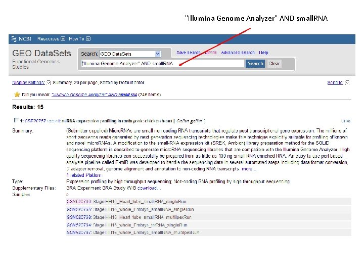 "Illumina Genome Analyzer" AND small. RNA 