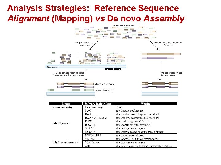 Analysis Strategies: Reference Sequence Alignment (Mapping) vs De novo Assembly or transcriptome 