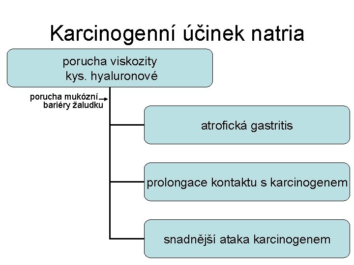 Karcinogenní účinek natria porucha viskozity kys. hyaluronové porucha mukózní bariéry žaludku atrofická gastritis prolongace