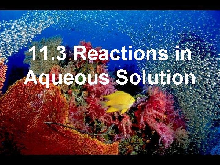 11. 3 Reactions in Aqueous Solution 