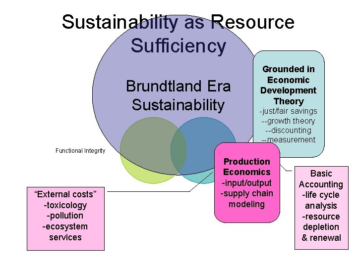 Sustainability as Resource Sufficiency Brundtland Era Sustainability Functional Integrity “External costs” -toxicology -pollution -ecosystem