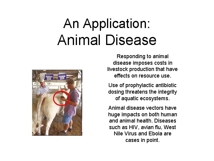 An Application: Animal Disease Responding to animal disease imposes costs in livestock production that