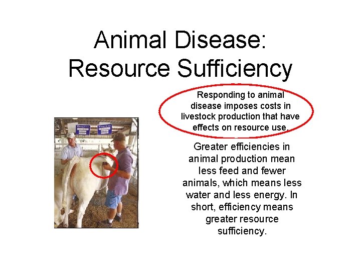 Animal Disease: Resource Sufficiency Responding to animal disease imposes costs in livestock production that